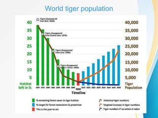 Tiger Project Statistics PPT on PROJECT TIGER | PPTX