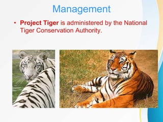 PPT on PROJECT TIGER | PPTX