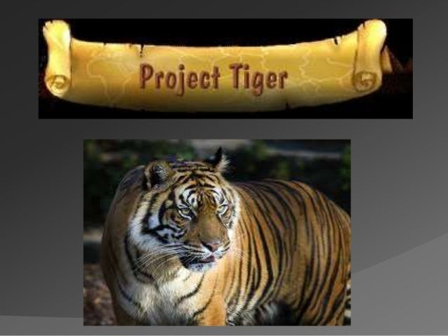 ppt-on-project-tiger