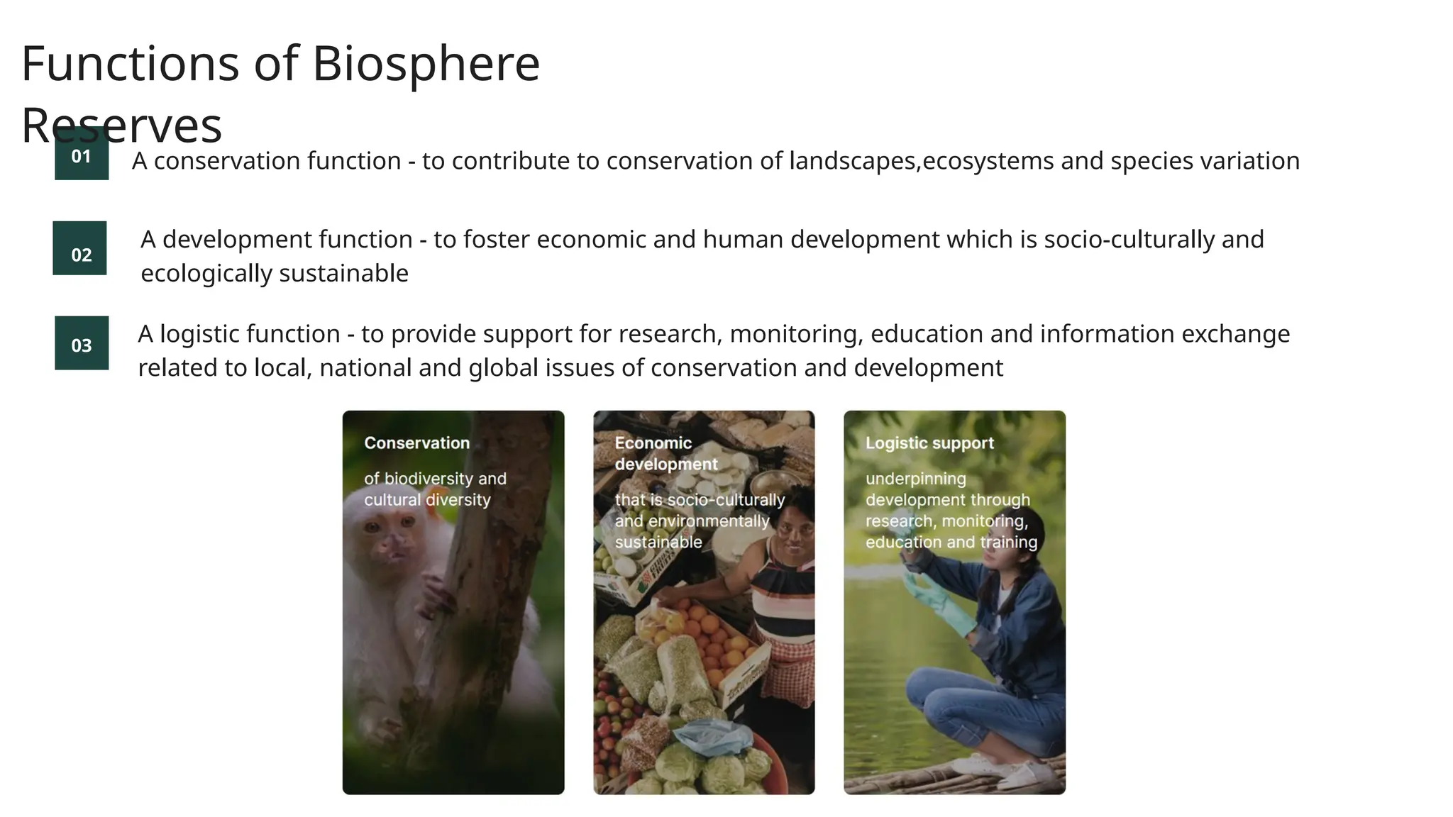 Project Tiger And Biosphere Reserves.pptx