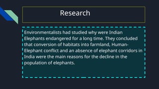 Research
Environmentalists had studied why were Indian
Elephants endangered for a long time. They concluded
that conversion of habitats into farmland, Human-
Elephant conflict and an absence of elephant corridors in
India were the main reasons for the decline in the
population of elephants.
 