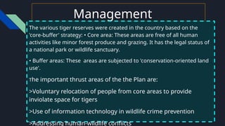 Management
The various tiger reserves were created in the country based on the
'core-buffer' strategy: • Core area: These areas are free of all human
activities like minor forest produce and grazing. It has the legal status of
a national park or wildlife sanctuary.
• Buffer areas: These areas are subjected to 'conservation-oriented land
use'.
The important thrust areas of the the Plan are:
>Voluntary relocation of people from core areas to provide
inviolate space for tigers
>Use of information technology in wildlife crime prevention
>Addressing human-wildlife conflicts
 