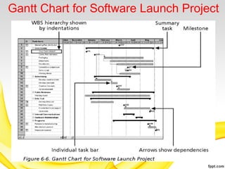 Gantt Chart for Software Launch Project
19
 