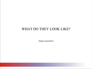 WHAT DO THEY LOOK LIKE?Image association