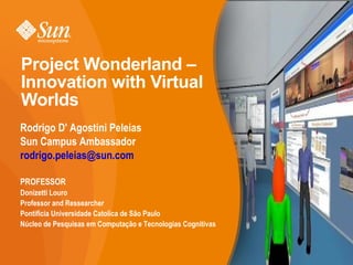 Project Wonderland – Innovation with Virtual Worlds ,[object Object]