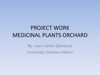 PROJECT WORKMEDICINAL PLANTS ORCHARD By: Juan Carlos Quintana Fernando OtalvaroMarin 