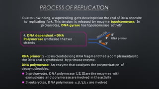 PROCESS OF REPLICATION
RNA primer: 5 – 10 nucleotide long RN A fragm ent that is c om ple mentary to
the D N A and is synthesized by primase enzyme.
DNA polymerase: An enzyme that catalyzes the polymerization of
deoxynucleotides.
⚫ In prokaryotes, D N A polymerase I, II, III are the enzymes with
exonuclease and polymerase are involved in the activity
⚫ In eukaryotes, D N A polymerase 𝑎, β, Ɣ,δ, ε are involved
Due to unwinding, a supercoiling gets developed on the end of D N A opposite
to replicating fork. This tension is released by enzyme topoisomerase. In
prokaryotes, DNA gyrase has topoisomerase activity.
3’
5’
RNA primer
4. DNA dependent –DNA
Polymerasesynthesise the two
strands
 