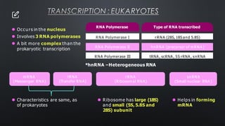 TRANSCRIPTION : EUKARYOTES
⚫ Occurs in the nucleus
⚫ Involves 3 RNA polymerases
⚫ A bit more complex than the
prokaryotic transcription
rRNA (28S, 18S and 5.8S)
RNA Polymerase I
hnRNA (precursor of m RNA)
RNA Polymerase II
tRNA, scRNA, 5S rRNA, snRNA
RNA Polymerase III
RNA Polymerase Type of RNA transcribed
tRNA
(Transfer RNA)
m RNA
(Messenger RNA)
rRNA
(Ribosom al RNA)
snRNA
(Small nuclear RNA)
*hnRNA –Heterogeneous RNA
⚫ Characteristics are same, as
of prokaryotes
⚫ Ribosome has large (18S)
and small (5S, 5.8S and
28S) subunit
⚫ Helps in forming
mRNA
 