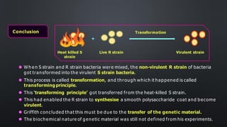 Conclusion
Heat killed S
strain
Live R strain Virulent strain
+
Transformation
⚫ Wh e n S strain and R strain bacteria were mixed, the non-virulent R strain of bacteria
got transformed into the virulent S strain bacteria.
⚫ This process is called transformation, and through which it happened is called
transforming principle.
⚫ This ‘transforming principle’ got transferred from the heat-killed S strain.
⚫ This had enabled the R strain to synthesise a smooth polysaccharide coat and become
virulent.
⚫ Griffith concluded that this must be due to the transfer of the genetic material.
⚫ The biochemical nature of genetic material was still not defined from his experiments.
 