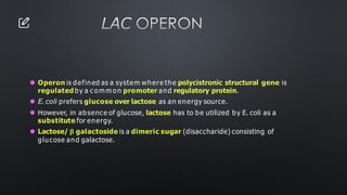 LAC OPERON
⚫ Operon is defined as a system where the polycistronic structural gene is
regulated by a c om m on promoter and regulatory protein.
⚫ E. coli prefers glucose over lactose as an energy source.
⚫ However, in absence of glucose, lactose has to be utilized by E. coli as a
substitute for energy.
⚫ Lactose/ β galactoside is a dimeric sugar (disaccharide) consisting of
glucose and galactose.
 