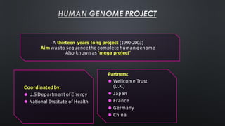 HUMAN GENOME PROJECT
Partners:
⚫ Wellcom e Trust
(U.K.)
⚫ Japan
⚫ France
⚫ Germany
⚫ China
A thirteen years long project (1990-2003)
Aim was to sequence the complete human genome
Also known as ‘mega project’
Coordinated by:
⚫ U.S D epartment of Energy
⚫ National Institute of H ealth
 