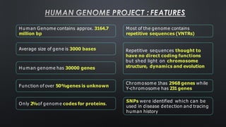 HUMAN GENOME PROJECT : FEATURES
H u m an Genome contains approx. 3164.7
million bp
Average size of gene is 3000 bases
H u m an genome has 30000 genes
Function of over 50%genes is unknown
Only 2%of genom e codes for proteins.
Most of the genome contains
repetitive sequences (VNTRs)
Repetitive sequences thought to
have no direct coding functions
but shed light on chromosome
structure, dynamics and evolution
Chrom osom e 1has 2968 genes while
Y-chrom osom e has 231genes
SNPs were identified which can be
used in disease detection and tracing
human history
 