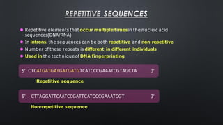 REPETITIVE SEQUENCES
3’
5’ CTTAGGATTCAATCCGATTCATCCCGAAATCGT
Non-repetitive sequence
⚫ Repetitive elements that occur multiple times in the nucleic acid
sequences(DNA/RNA)
⚫ In introns, the sequences can be both repetitive and non-repetitive
⚫ Number of these repeats is different in different individuals
⚫ Used in the technique of DNA fingerprinting
5’ CTCATGATGATGATGATGTCATCCCGAAATCGTAGCTA 3’
Repetitive sequence
 