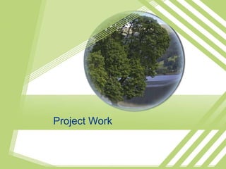 Project Work 