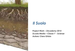 Il Suolo
Project Work – ZAcademy 2014
Scuola Media – Classe I° - Scienze
Autore: Clara Ghisio
 