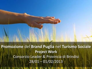 Promozione del Brand Puglia nel Turismo Sociale
                  Project Work
      Consorzio Leader & Provincia di Brindisi
               28/01 – 01/02/2013
 