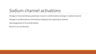 Sodium channel activations
Change in transmembrane potentials results in conformations change in sodium channel
Change in conformations of S4 helices leading to the opening of channel
Rearrangement of S5 and S6 helices
Result in ion conduction
 