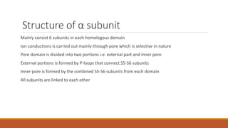Structure of α subunit
Mainly consist 6 subunits in each homologous domain
Ion conductions is carried out mainly through pore which is selective in nature
Pore domain is divided into two portions i.e. external part and inner pore
External portions is formed by P-loops that connect S5-S6 subunits
Inner pore is formed by the combined S5-S6 subunits from each domain
All subunits are linked to each other
 