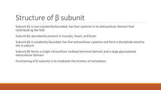 Structure of β subunit
Subunit β1 is non-covalently bounded, has four cysteine in its extracellular domain that
contribute Ig like fold
Subunit β1 abundantly present in muscles, heart, and brain
Subunit β2 is covalently bounded, has five extracellular cysteine and form a disulphide bond to
the α subunit
Subunit β2 forms a single intracellular carboxyl terminal domain and a large glycosylated
extracellular domain
Functioning of β subunits is to modulate the kinetics of activations
 