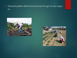• Memperbanyakkan aktiviti bercucuk tanam di negeri itu atau negara
itu .
 