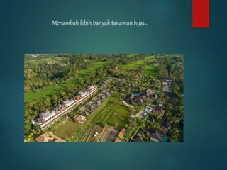 Menambah lebih banyak tanaman hijau.
 