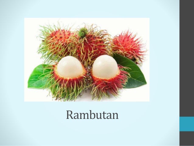 Projek akhir pendidikan awal kanak kanak oleh ibu bapa ...