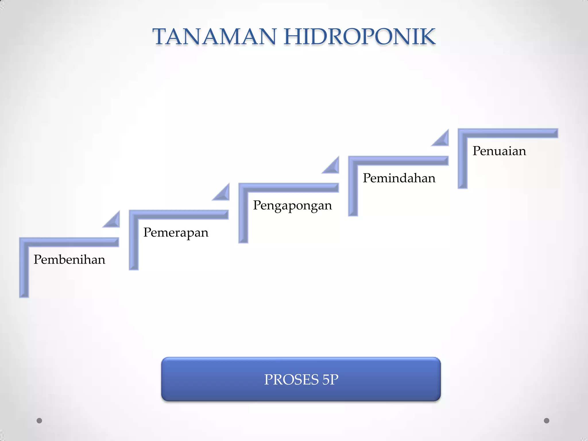 TANAMAN HIDROPONIK
Pembenihan
Pemerapan
Pengapongan
Pemindahan
Penuaian
PROSES 5P