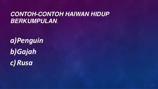 Projek Sekolah Interaksi Antara Haiwan