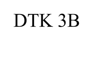 DTK 3B
 