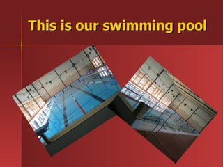 This is our swimming pool 
