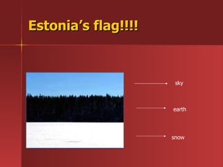 Estonia’s flag!!!! sky earth snow 