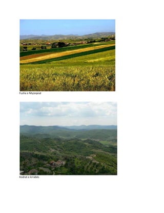 Fusha e Myzeqesë
Kodrat e krrabës
 