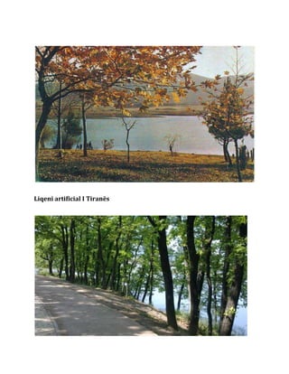 Liqeni artificial I Tiranës
 