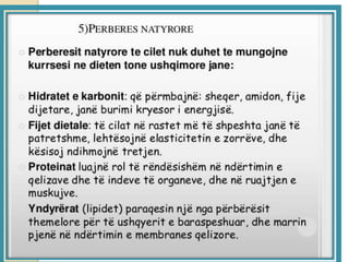 Projekt by Alket Selimaj