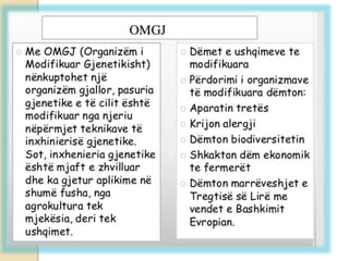 Projekt by Alket Selimaj