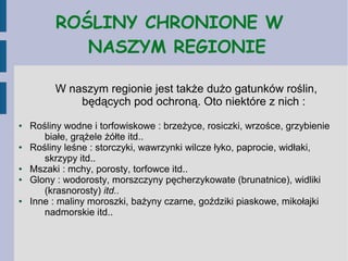 ROŚLINY CHRONIONE W
NASZYM REGIONIE
W naszym regionie jest także dużo gatunków roślin,
będących pod ochroną. Oto niektóre z nich :
● Rośliny wodne i torfowiskowe : brzeżyce, rosiczki, wrzośce, grzybienie
białe, grążele żółte itd..
● Rośliny leśne : storczyki, wawrzynki wilcze łyko, paprocie, widłaki,
skrzypy itd..
● Mszaki : mchy, porosty, torfowce itd..
● Glony : wodorosty, morszczyny pęcherzykowate (brunatnice), widliki
(krasnorosty) itd..
● Inne : maliny moroszki, bażyny czarne, goździki piaskowe, mikołajki
nadmorskie itd..
 