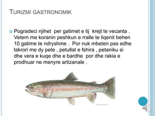 TURIZMI GASTRONOMIK
 Pogradeci njihet per gatimet e tij krejt te vecanta .
Vetem me koranin peshkun e rralle te liqenit behen
10 gatime te ndryshme . Por nuk mbeten pas edhe
lakrori me dy pete , petullat e fshira , petaniku si
dhe vera e kuqe dhe e bardhe por dhe rakia e
prodhuar ne menyre artizanale .
 