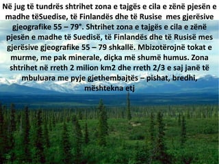 Në jug të tundrës shtrihet zona e tajgës e cila e zënë pjesën e
madhe tëSuedise, të Finlandës dhe të Rusise mes gjerësive
gjeografike 55 – 79°. Shtrihet zona e tajgës e cila e zënë
pjesën e madhe të Suedisë, të Finlandës dhe të Rusisë mes
gjerësive gjeografike 55 – 79 shkallë. Mbizotërojnë tokat e
murme, me pak minerale, diçka më shumë humus. Zona
shtrihet në rreth 2 milion km2 dhe rreth 2/3 e saj janë të
mbuluara me pyje gjethembajtës – pishat, bredhi,
mështekna etj
 