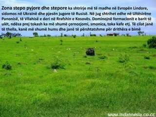 Zona stepo pyjore dhe stepore ka shtrirje më të madhe në Evropën Lindore,
sidomos në Ukrainë dhe pjesën jugore të Rusisë. Në jug shtrihet edhe në Ultësirëne
Panonisë, të Vllahisë e deri në Rrafshin e Kosovës. Dominojnë formacionit e barit të
ulët, ndësa prej tokash ka më shumë çernozjomi, smonica, toka kafe etj. Të cilat janë
të thella, kanë më shumë hums dhe janë të përshtatshme për drithëra e bimë
industriale.
 