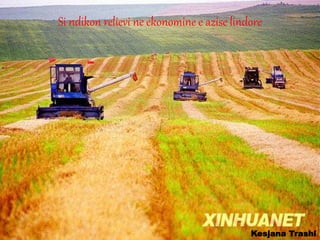 Kesjana Trashi
Si ndikon relievi ne ekonomine e azise lindore
 