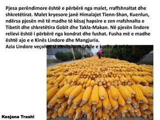 Pjesa perëndimore është e përbërë nga malet, rraffshnaltat dhe
shkretëtirat. Malet kryesore janë Himalajet Tienn-Shan, Kuenlun,
ndërsa pjesën më të madhe të kësaj hapsire e zen rrafshnalta e
Tibetit dhe shkretëtira Gobit dhe Takla-Makan. Në pjesën lindore
relievi është i përbërë nga kondrat dhe fushat. Fusha më e madhe
është ajo e e Kinës Lindore dhe Mangjuria.
Azia Lindore veçohet si zonë shum labile e korës së tokës.
Kesjana Trashi
 