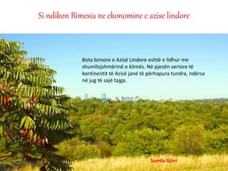 Si ndikon Bimesia ne ekonomine e azise lindore
Bota bimore e Azisë Lindore eshtë e lidhur me
shumllojshmërinë e klimës. Në pjesën veriore të
kontinentit të Azisë janë të përhapura tundra, ndërsa
në jug të sajë tajga.
Sueda Gjini
 