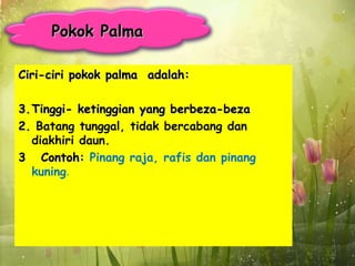 Pokok Palma

Ciri-ciri pokok palma adalah:

3. Tinggi- ketinggian yang berbeza-beza
2. Batang tunggal, tidak bercabang dan
   diakhiri daun.
3 Contoh: Pinang raja, rafis dan pinang
   kuning.
 