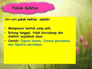 Pokok Kektus

Ciri-ciri pokok kektus adalah:

• Mempunyai bentuk yang unik.
• Batang tunggal, tidak bercabang dan
  diakhiri sejambak daun.
• Contoh: Espoto lanata, Cereus peruvanius
  dan Opuntia microdays
 
