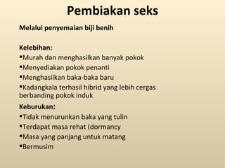 Pembiakan seks
Melalui penyemaian biji benih

Kelebihan:
Murah dan menghasilkan banyak pokok
Menyediakan pokok penanti
Menghasilkan baka-baka baru
Kadangkala terhasil hibrid yang lebih cergas
berbanding pokok induk
Keburukan:
Tidak menurunkan baka yang tulin
Terdapat masa rehat (dormancy
Masa yang panjang untuk matang
Bermusim
 