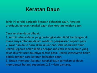 Keratan Daun
Jenis ini terdiri daripada keratan bahagian daun, keratan
uratdaun, keratan tangkai daun dan keratan helaian daun.

Cara keratan daun dibuat:
1. Ambil sehelai daun yang bertangkai atau tidak bertangkai di
mana ianya ditanam dalam medium pengakaran seperti pasir.
2. Akar dan daun baru akan keluar dari sebelah bawah daun.
Pokok Begonia boleh dibiak dengan meletak sehelai daun yang
telah dikerat urat daunnya di atas pasir. Pokok sanseiveria boleh
dibiak dengan cara keratan bahagian daun.
3. Untuk membuat keratan tangkai daun tentukan lai daun
mempunyai batang sepanjang 2.5 – 4cm panjang.
 