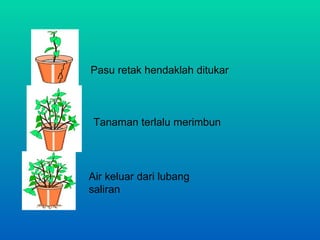 Pasu retak hendaklah ditukar



 Tanaman terlalu merimbun




Air keluar dari lubang
saliran
 
