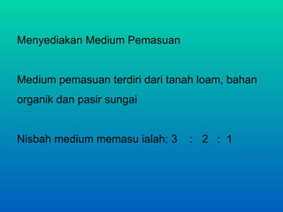 Menyediakan Medium Pemasuan


Medium pemasuan terdiri dari tanah loam, bahan
organik dan pasir sungai


Nisbah medium memasu ialah; 3    : 2 : 1
 