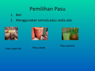 Pemilihan Pasu
    1. Beli
    2. Menggunakan semula pasu sedia ada




                                  Pasu seramik
Pasu tanah liat    Pasu plastik
 