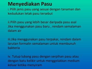 Menyediakan Pasu
i. Pilih jenis pasu yang sesuai dengan tanaman dan
kedudukan letak pasu tersebut

ii.Pilih pasu yang lebih besar daripada pasu asal
Jika menggunakan pasu baru , rendam semalaman
dalam air

iii.Jika menggunakan pasu terpakai, rendam dalam
larutan formalin semalaman untuk membunuh
bakteria

iv. Tutup lubang pasu dengan serpihan pasu atau
dengan batu kelikir untuk menggelakkan medium
keluar ketika menyiram
 